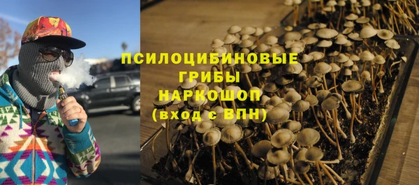 круглые Бородино