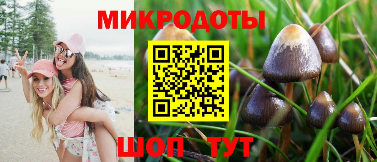 Тверь  Галлюциногенные грибы Cubensis  Вход с VPN 