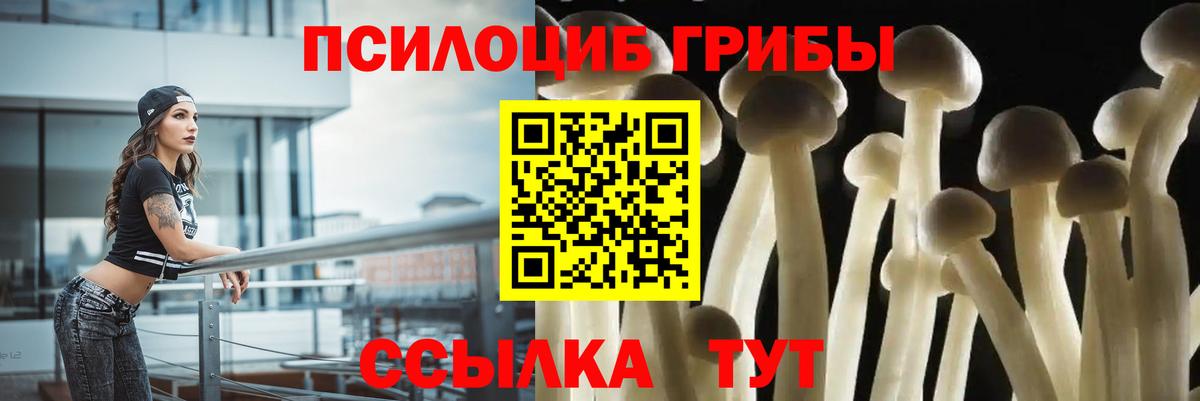 Галлюциногенные грибы прущие грибы Тверь